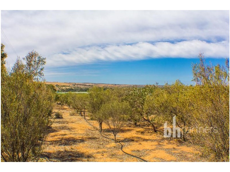 28 Shearer Heights Road, Mannum SA 5238