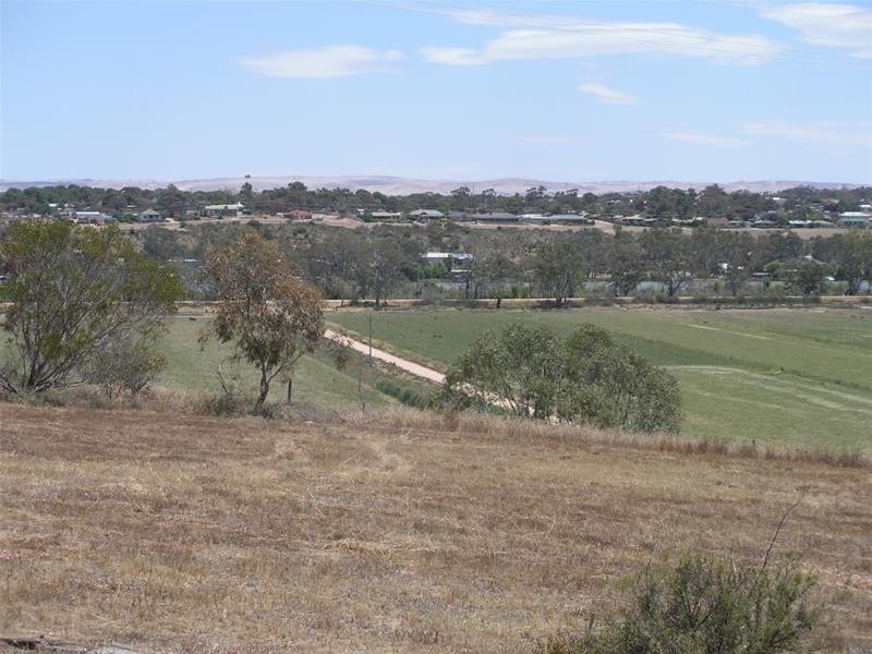 20 Lahne Road Cowirra via, Mannum SA 5238