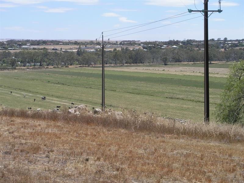 20 Lahne Road Cowirra via, Mannum SA 5238