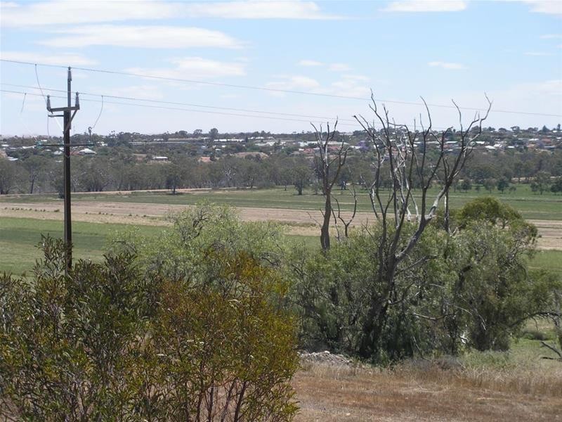 20 Lahne Road Cowirra via, Mannum SA 5238