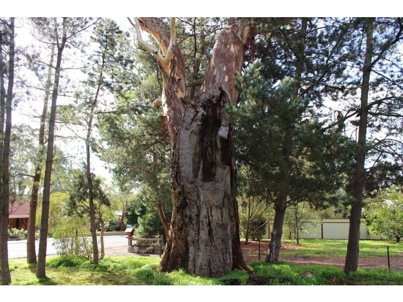 2-4 Hocknull Place, Mount Pleasant SA 5235