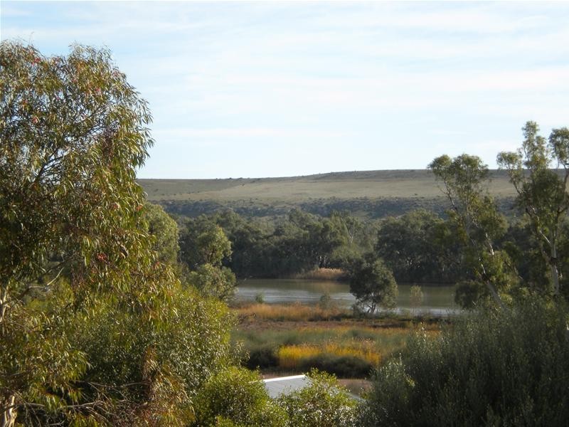 49 Tom Groggin Drive, Younghusband SA 5238