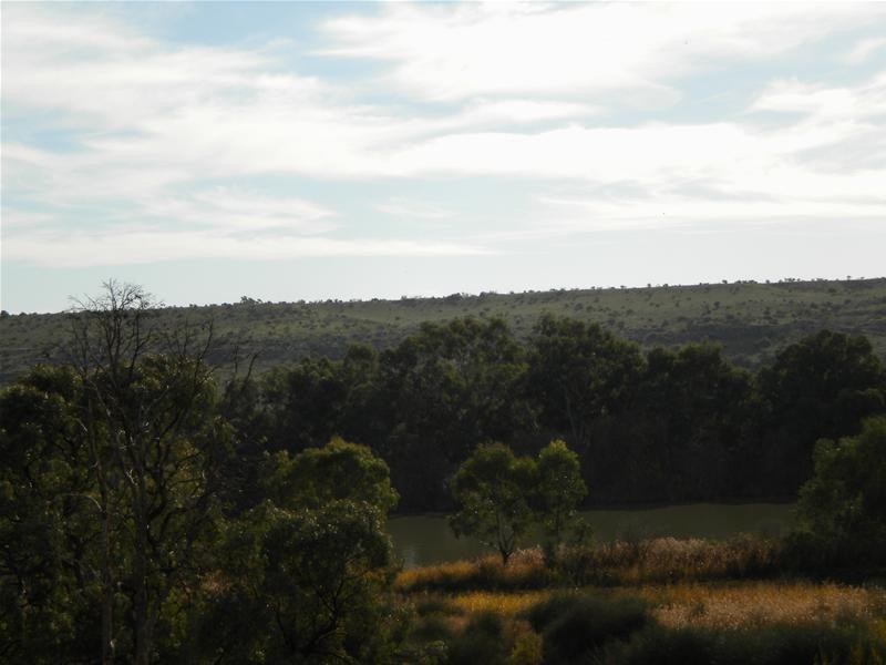 49 Tom Groggin Drive, Younghusband SA 5238