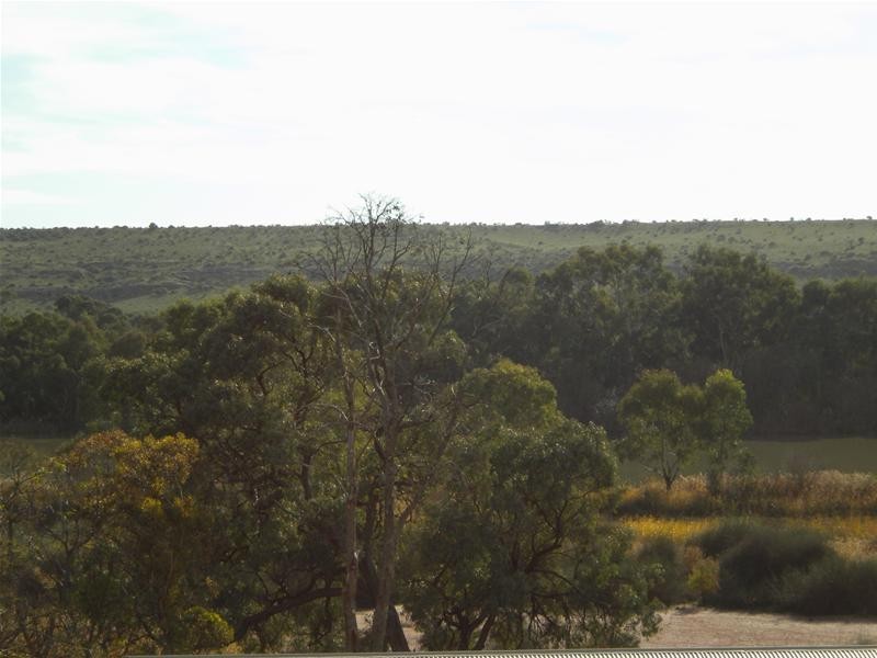 49 Tom Groggin Drive, Younghusband SA 5238