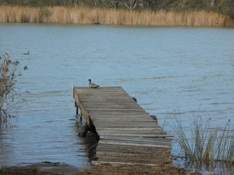 5/795 Cliffview Drive, Wongulla via, Walker Flat SA 5238