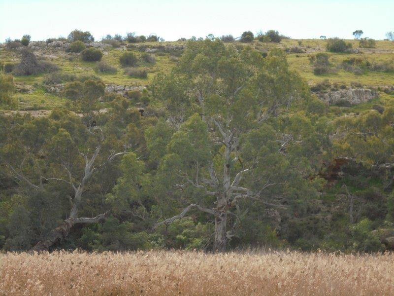 5/795 Cliffview Drive, Wongulla via, Walker Flat SA 5238