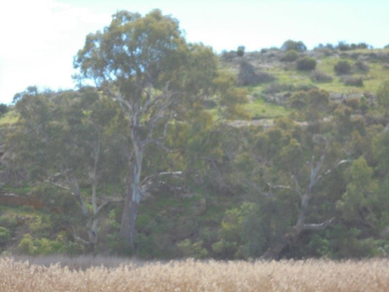 5/795 Cliffview Drive, Wongulla via, Walker Flat SA 5238