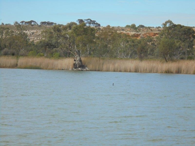 5/795 Cliffview Drive, Wongulla via, Walker Flat SA 5238