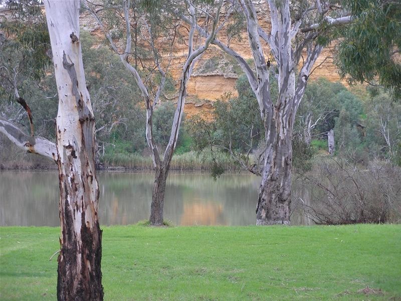 2961 Purnong Road, Caurnamont SA 5238