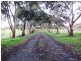 Lot 1, Lot 1 Laubes Road, Springton SA 5235