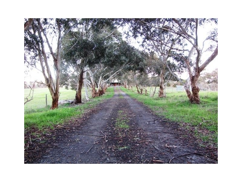 Lot 1, Lot 1 Laubes Road, Springton SA 5235