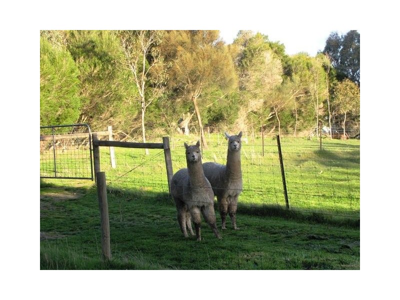 Lot 1, Lot 1 Laubes Road, Springton SA 5235