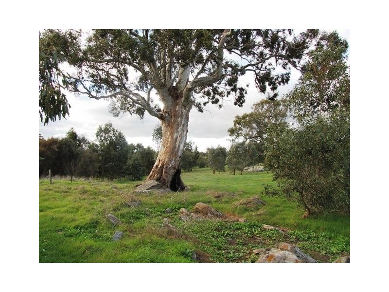 Lot 1, Lot 1 Laubes Road, Springton SA 5235