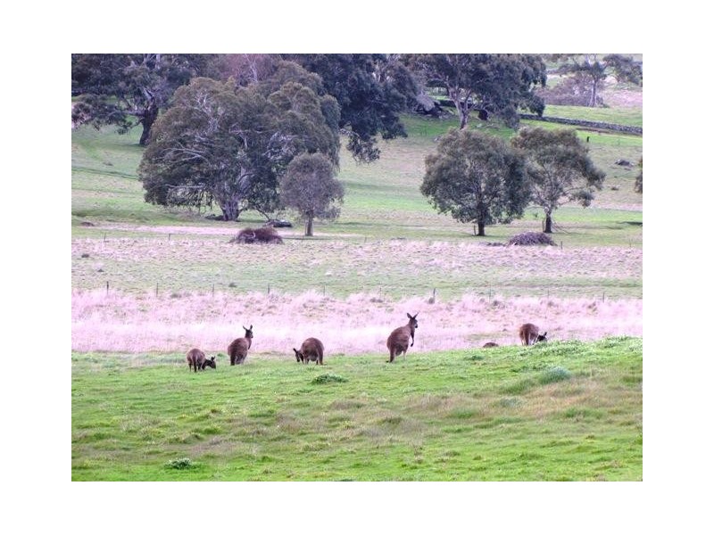 Lot 1, Lot 1 Laubes Road, Springton SA 5235