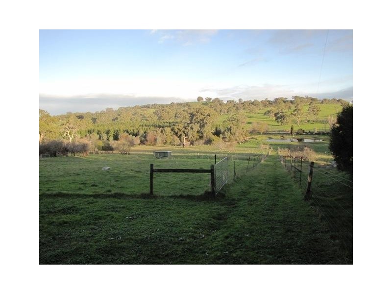 Lot 1, Lot 1 Laubes Road, Springton SA 5235