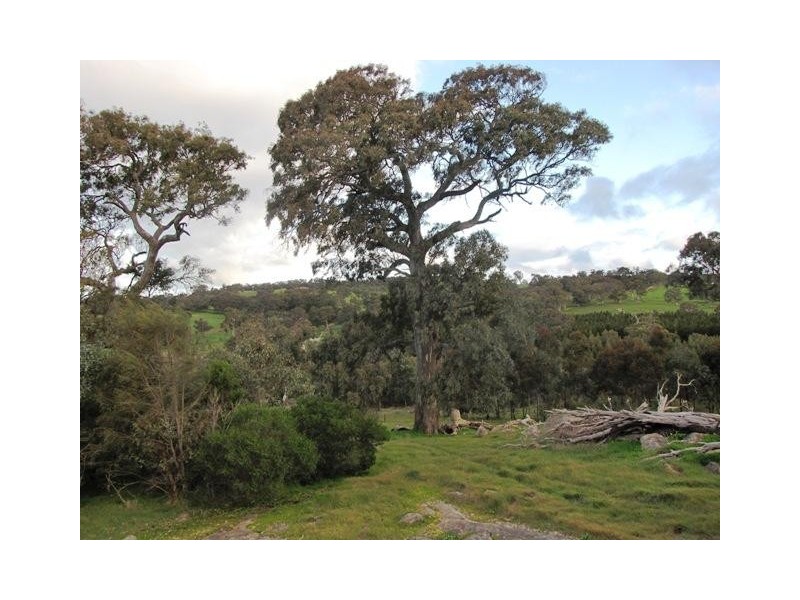 Lot 1, Lot 1 Laubes Road, Springton SA 5235