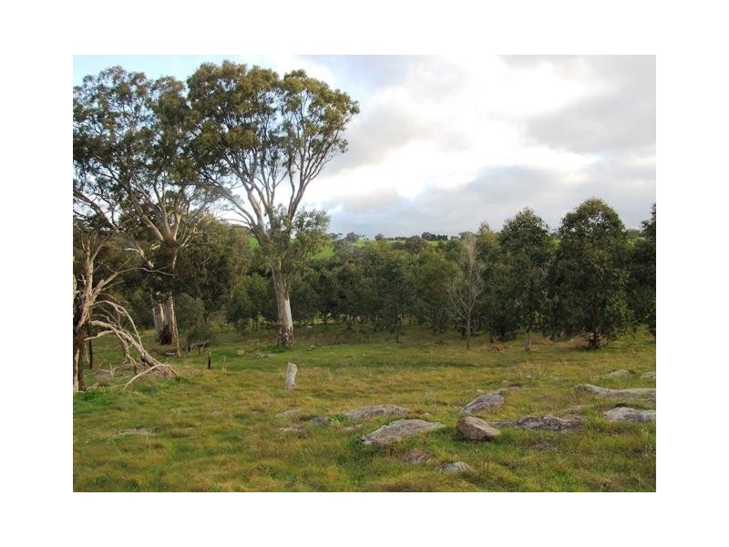 Lot 1, Lot 1 Laubes Road, Springton SA 5235