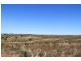 Lot 20 Orkney Road, Mannum SA 5238