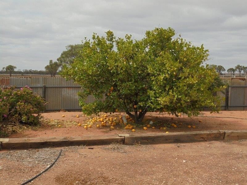 101 Bedrock Road, Swan Reach SA 5354