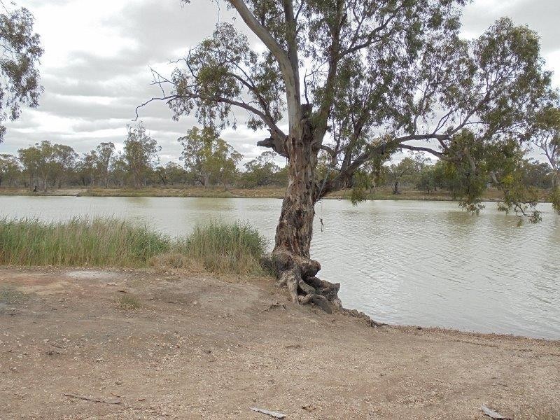 101 Bedrock Road, Swan Reach SA 5354