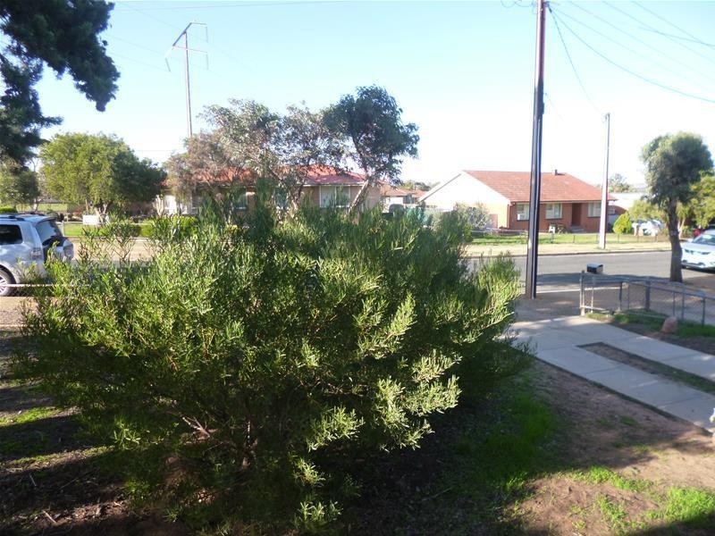 26 Charles Street, Mannum SA 5238