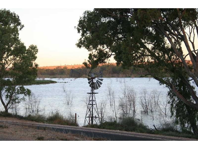 Lot 8 Mannum-Purnong Road, Mannum SA 5238