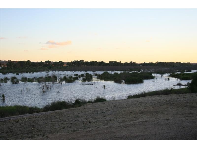 Lot 8 Mannum-Purnong Road, Mannum SA 5238