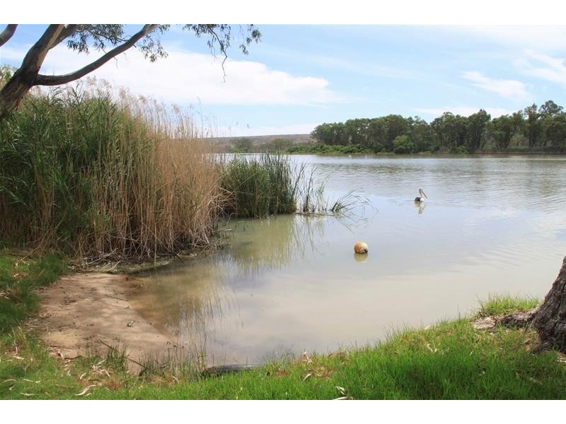 6 Gowling Court, Younghusband SA 5238