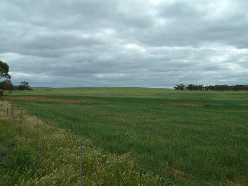 PIECES 51 & 52 Long Gully Road, Palmer SA 5237