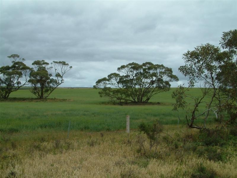 PIECES 51 & 52 Long Gully Road, Palmer SA 5237