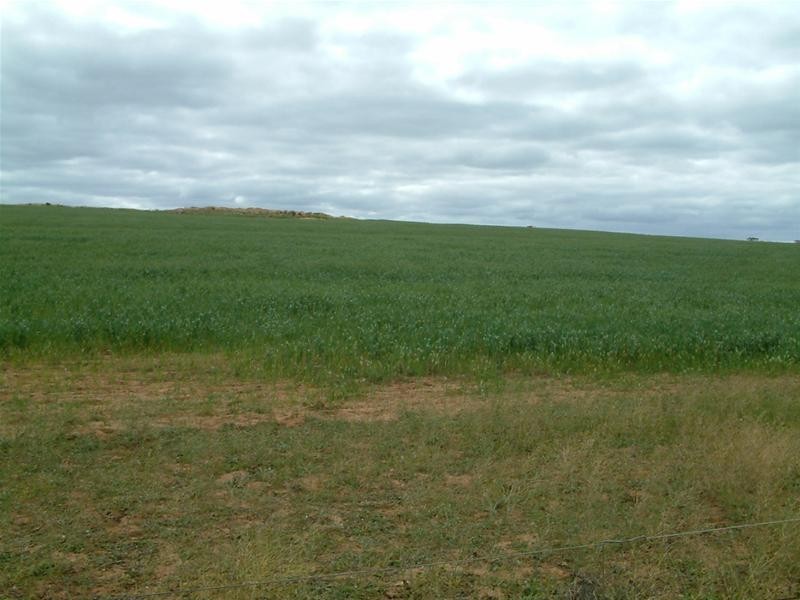 PIECES 51 & 52 Long Gully Road, Palmer SA 5237