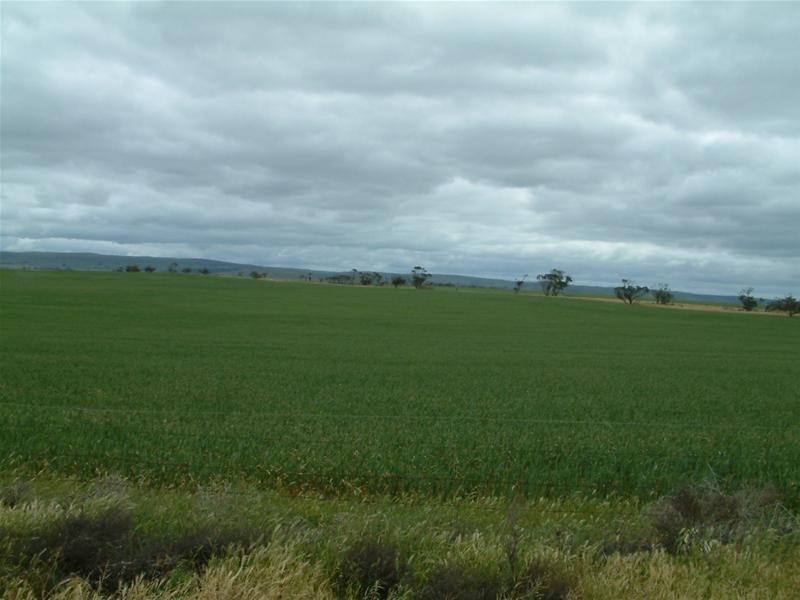 PIECES 51 & 52 Long Gully Road, Palmer SA 5237