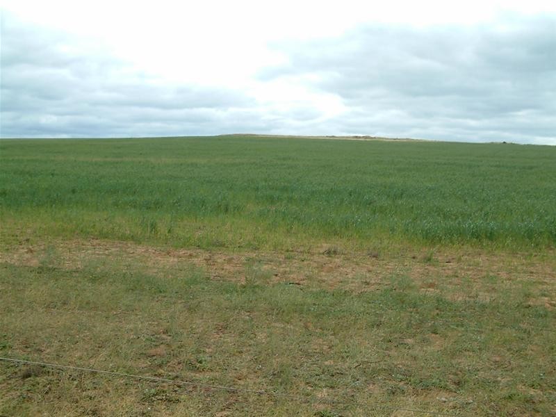 PIECES 51 & 52 Long Gully Road, Palmer SA 5237