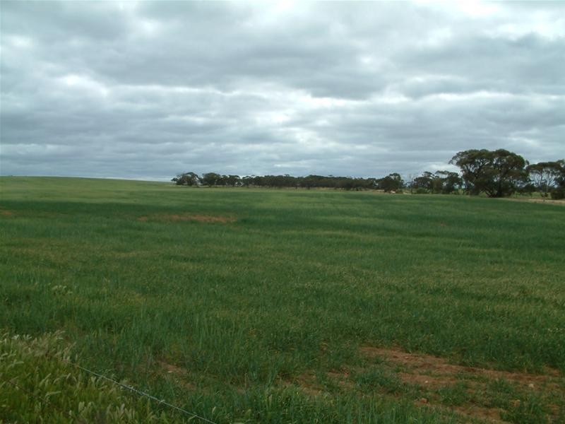 PIECES 51 & 52 Long Gully Road, Palmer SA 5237