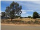 Lot 26 Day Street, Nildottie SA 5238