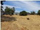 Lot 26 Day Street, Nildottie SA 5238