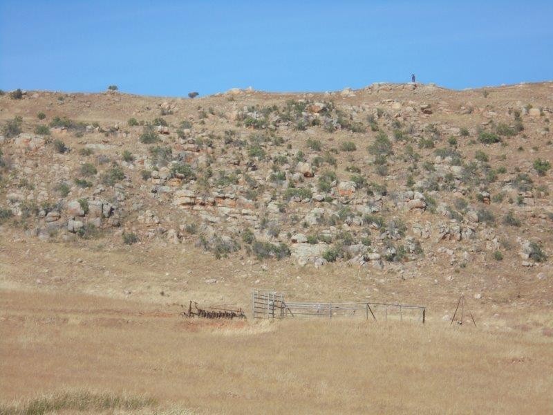 463 Rathjen  Road, Palmer SA 5237