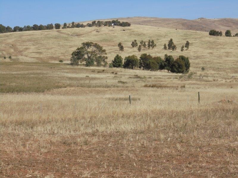 463 Rathjen  Road, Palmer SA 5237