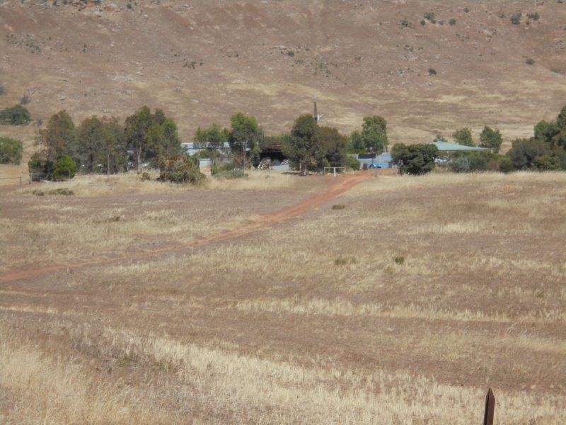 463 Rathjen  Road, Palmer SA 5237