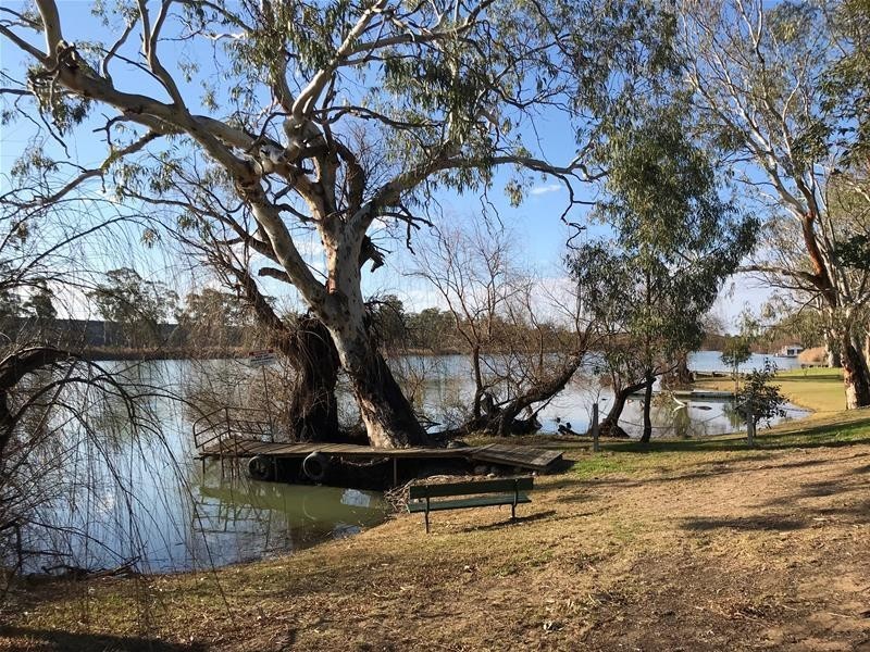 288 Kroehn’s Access Road, Nildottie SA 5238