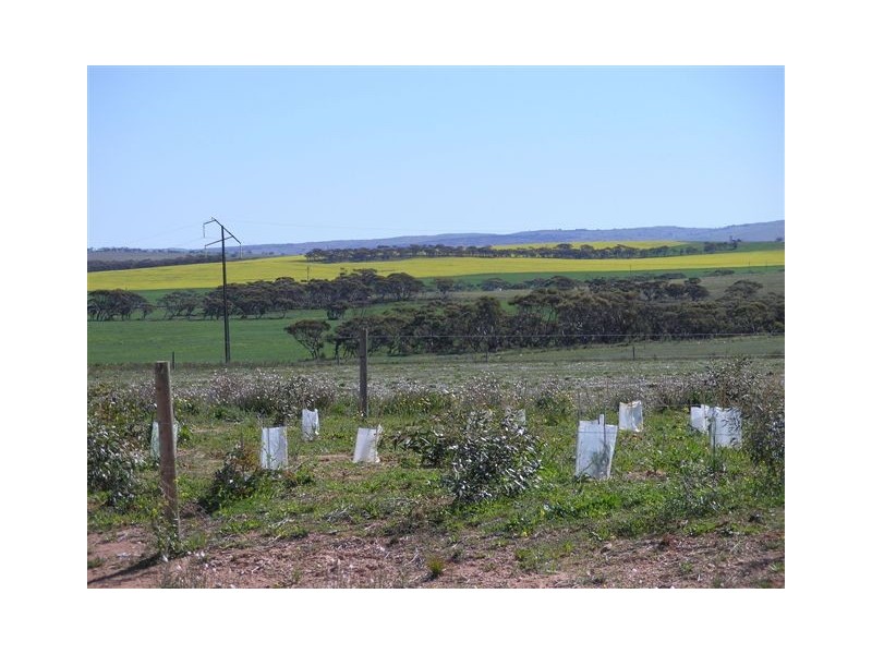 Lot 108 ‘Sunset Rise Estate’ Magpie Crescent, Mannum SA 5238