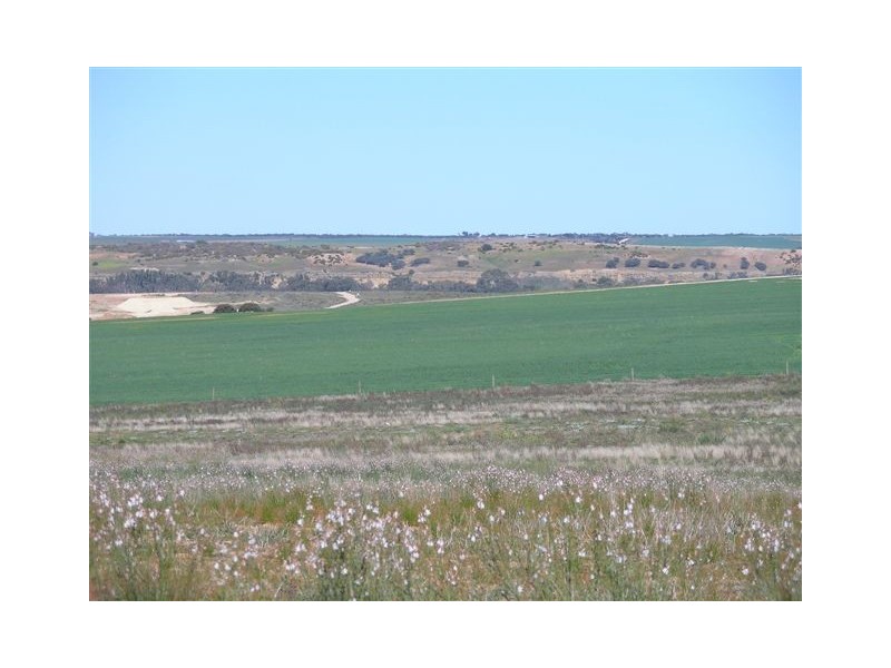 Lot 108 ‘Sunset Rise Estate’ Magpie Crescent, Mannum SA 5238