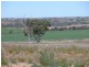 Lot 108 ‘Sunset Rise Estate’ Magpie Crescent, Mannum SA 5238