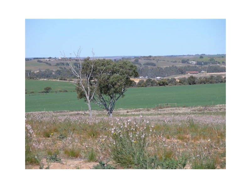 Lot 108 ‘Sunset Rise Estate’ Magpie Crescent, Mannum SA 5238