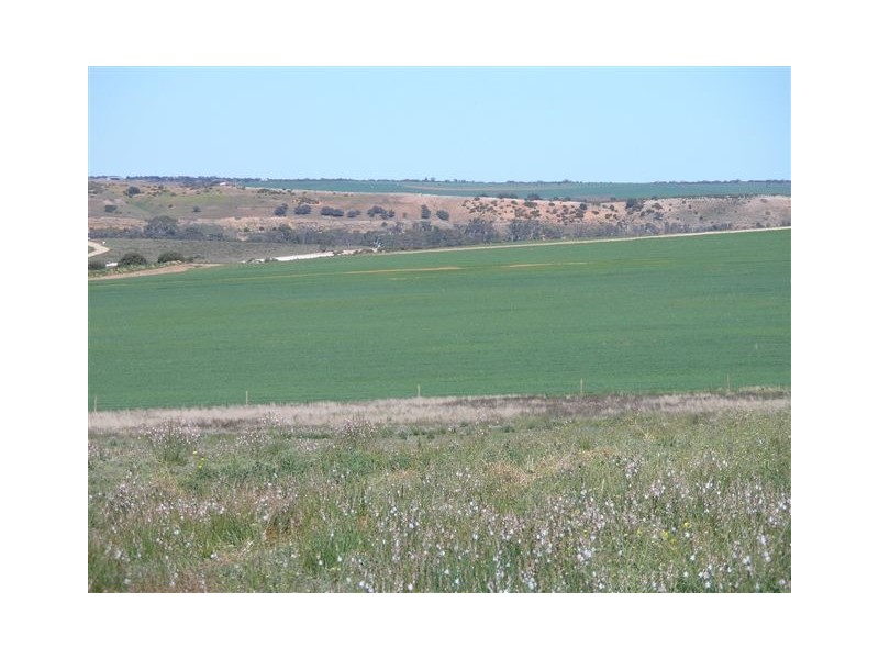 Lot 108 ‘Sunset Rise Estate’ Magpie Crescent, Mannum SA 5238