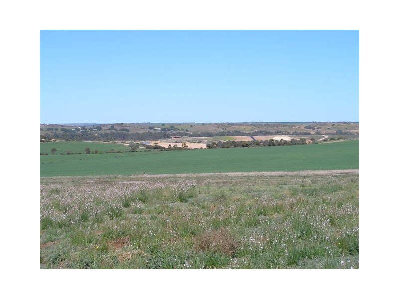 Lot 108 ‘Sunset Rise Estate’ Magpie Crescent, Mannum SA 5238