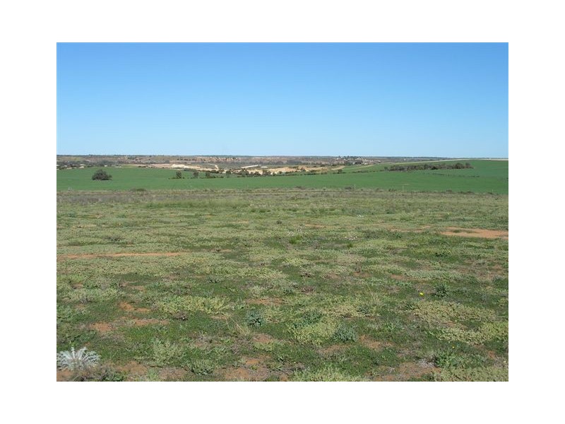 Lot 108 ‘Sunset Rise Estate’ Magpie Crescent, Mannum SA 5238
