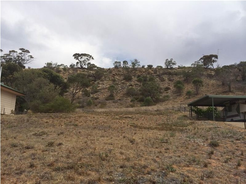 Lot 56 Tom Groggin Drive, Younghusband SA 5238