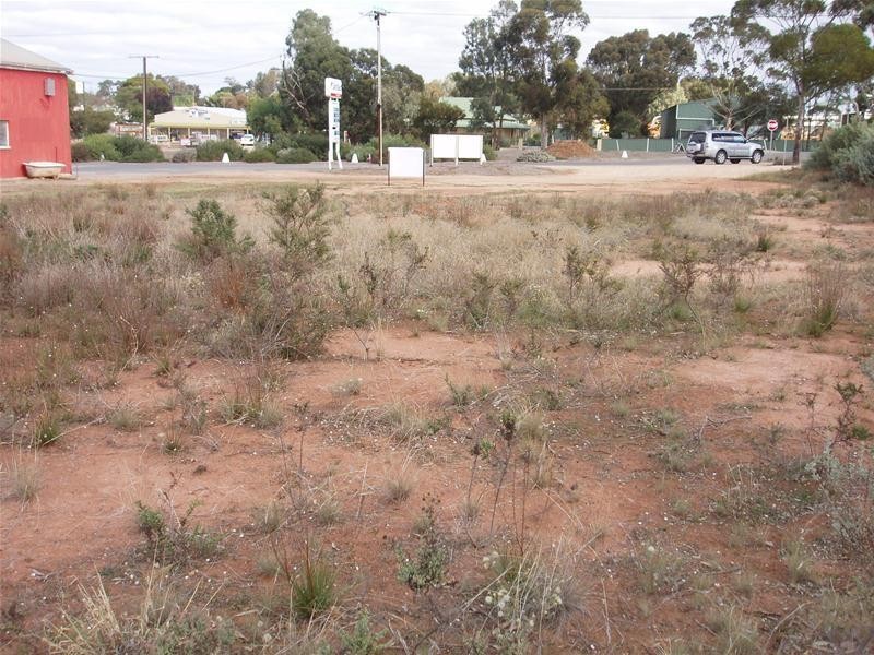 Lot 390 Adelaide Road, Mannum SA 5238