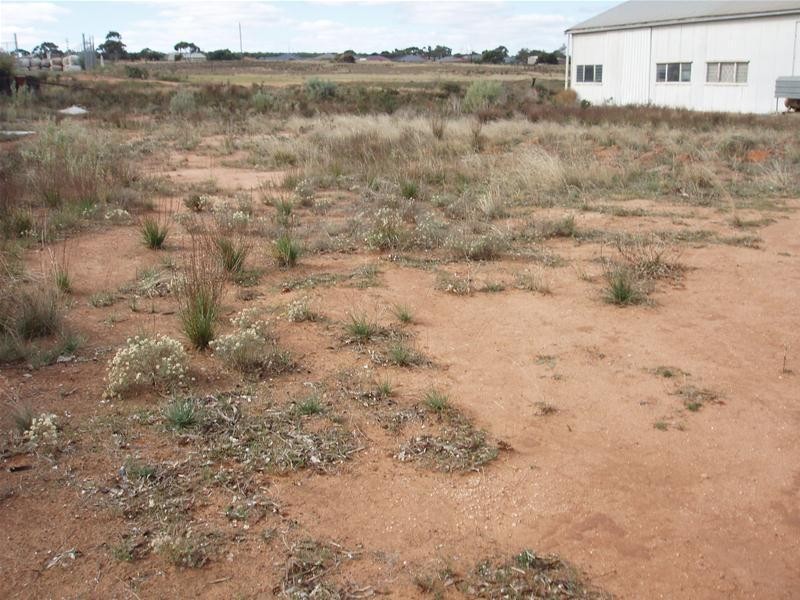 Lot 390 Adelaide Road, Mannum SA 5238